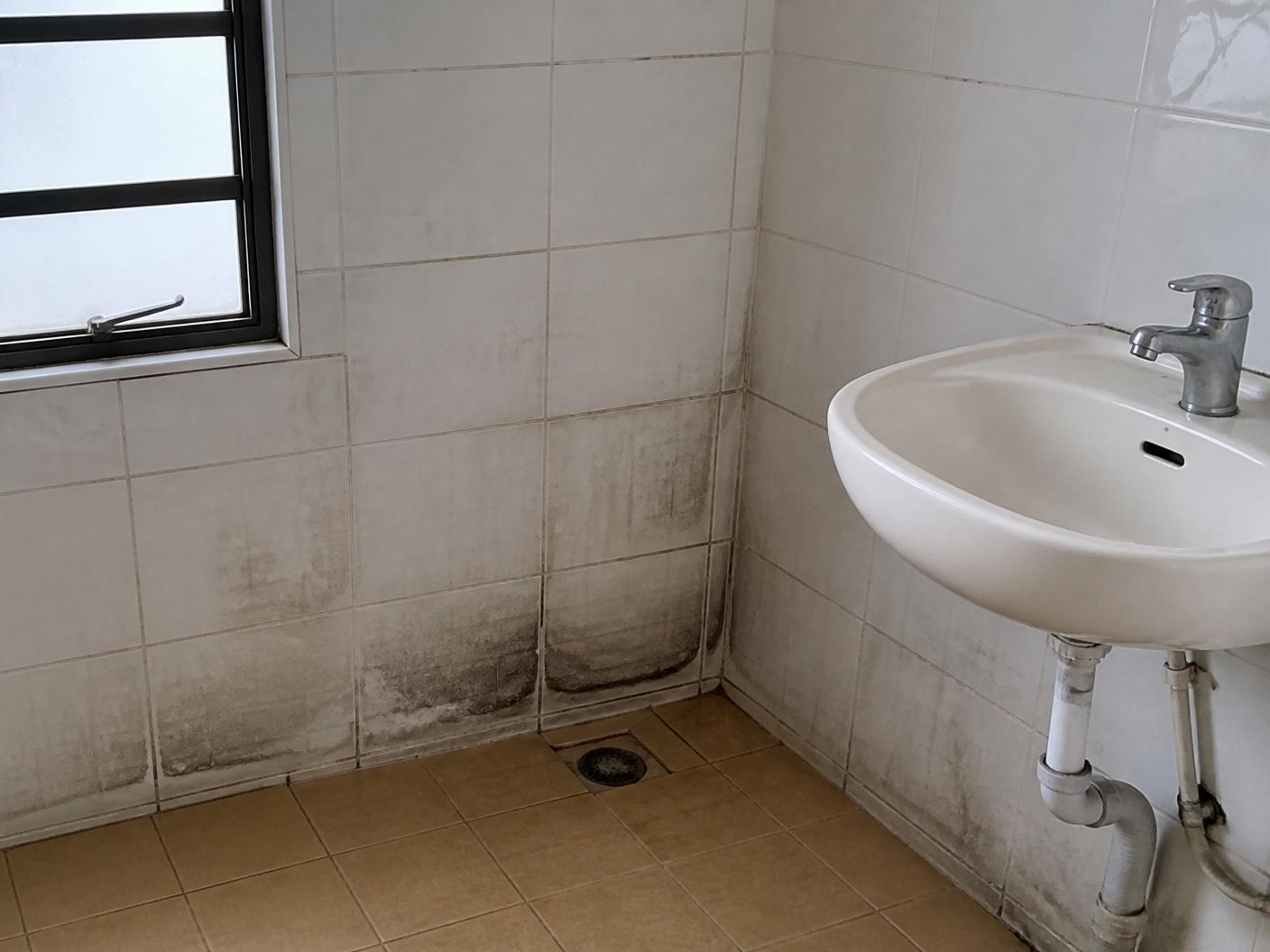 HDB bathroom wall with dark damp staining and failing grout — before